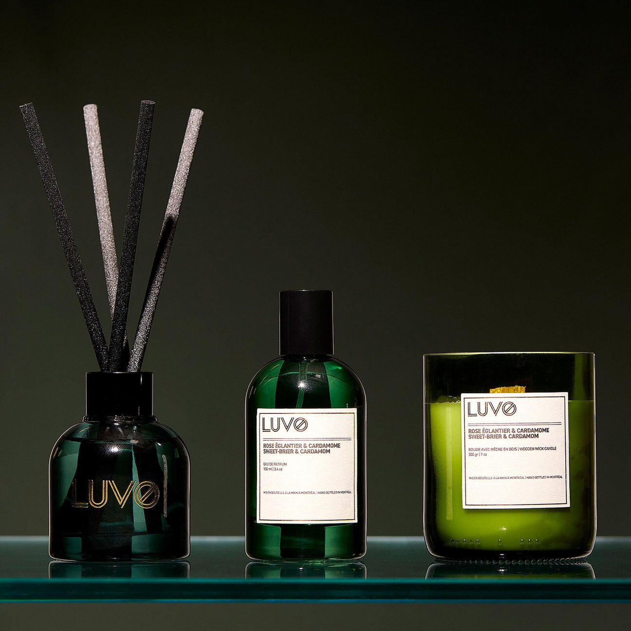 Common Mistakes to Avoid with Reed Diffusers